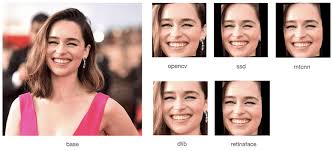 Face Extraction Model